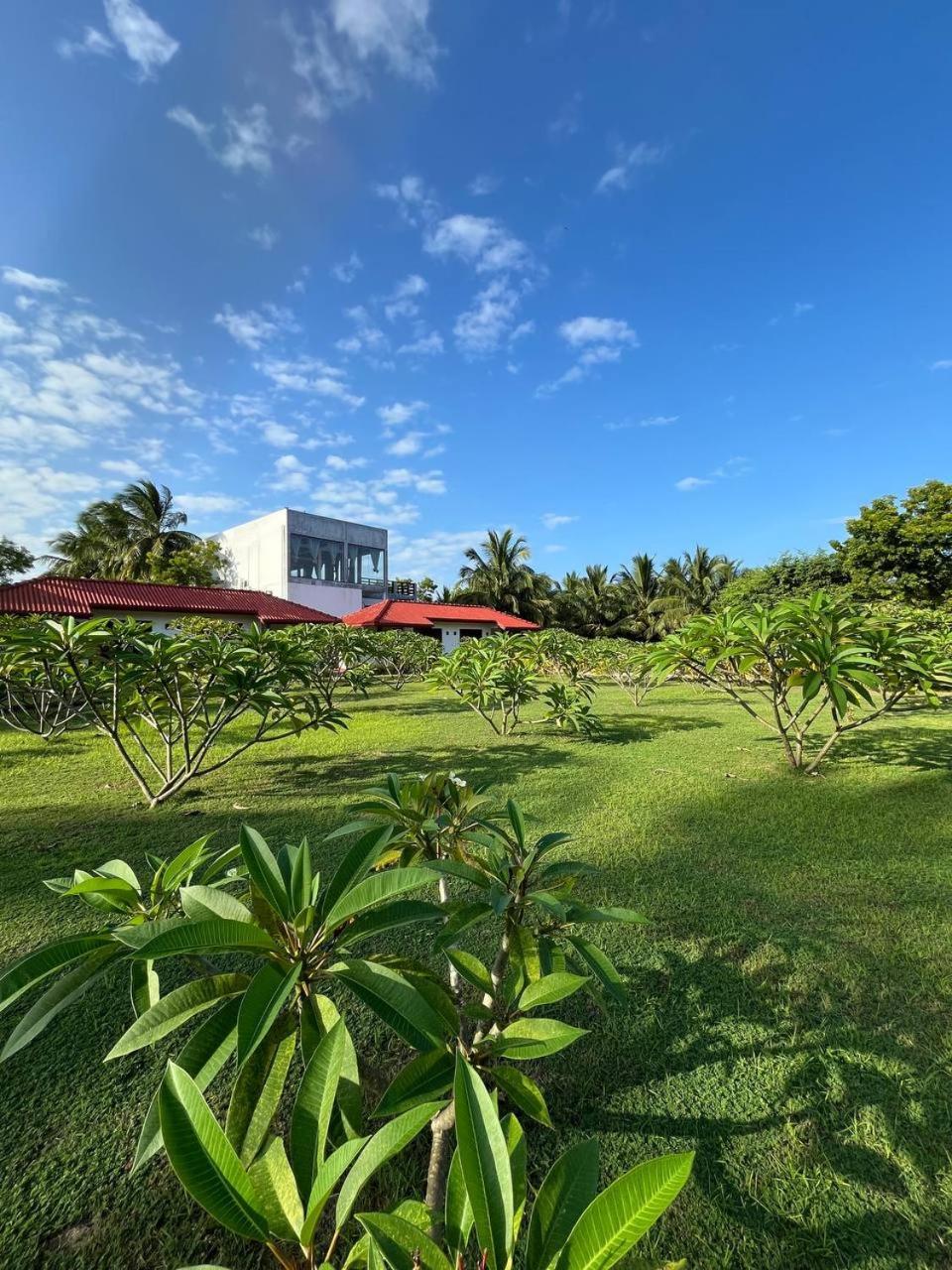Nn Beach Resort & Spa Nilaveli Extérieur photo